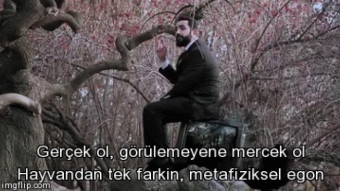 Profilime bakıp nasıl biri olduğum hakkında analiz yapar mısınız? Profilime bakıp nasıl biri olduğum hakkında analiz yapar mısınız?