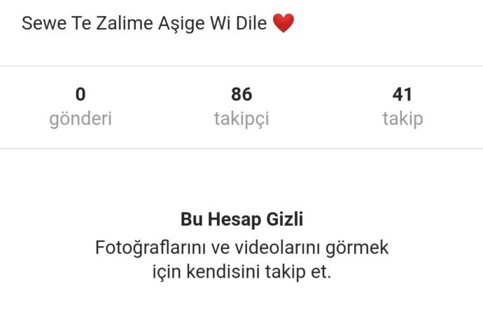 Kürt arkadaşlar yardımcı olabilir mi burda yazan sözün anlamı nedir?