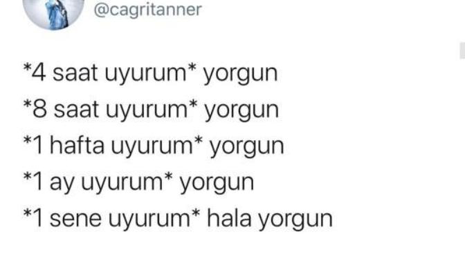 Uykuya düşkün müsünüz?