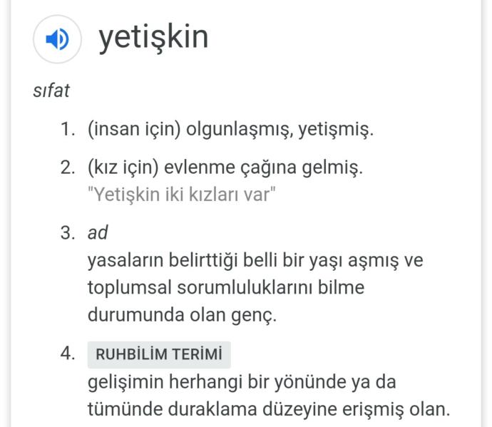 18-19 yaşında ki ler yetişkin mi ergen mi?