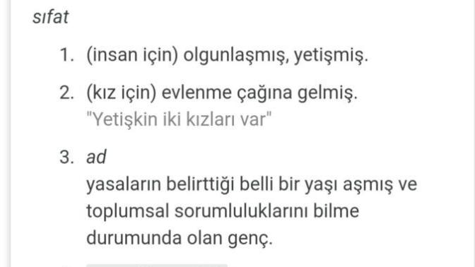 18-19 yaşında ki ler yetişkin mi ergen mi?