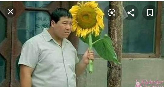 Kızlar sizce maço erkek mi  tercihiniz yoksa romantik erkek mi ?