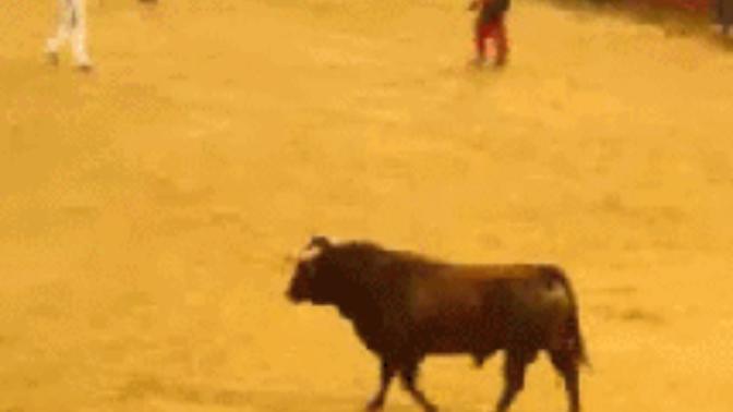 Boğa burcu erkeği desem iyi/kötü neler yazardınız?