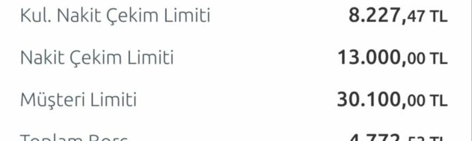 En yüksek kart limiti kimde?