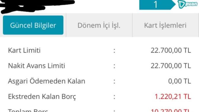 En yüksek kart limiti kimde?