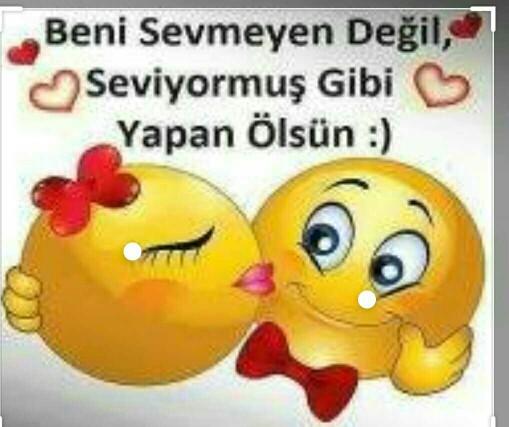 Beni sevmeyen ölsün diyor musunuz?