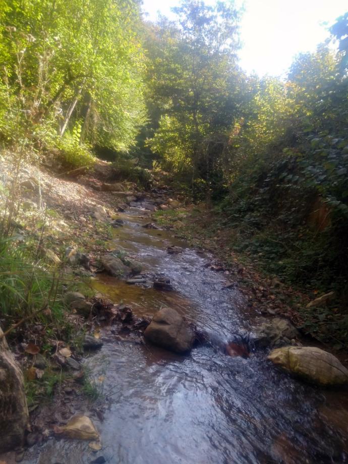 Gördüğünüzde Kalbinizin En Sıcak Noktasına Dokunacak Çok Tatlı Hayvan Dostumuz sevimli degilirmi?