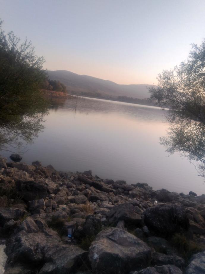 Gördüğünüzde Kalbinizin En Sıcak Noktasına Dokunacak Çok Tatlı Hayvan Dostumuz sevimli degilirmi?
