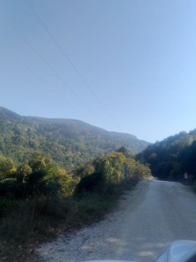 Gördüğünüzde Kalbinizin En Sıcak Noktasına Dokunacak Çok Tatlı Hayvan Dostumuz sevimli degilirmi?