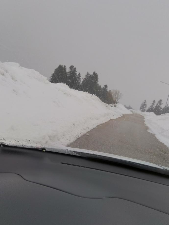 Gördüğünüzde Kalbinizin En Sıcak Noktasına Dokunacak Çok Tatlı Hayvan Dostumuz sevimli degilirmi?