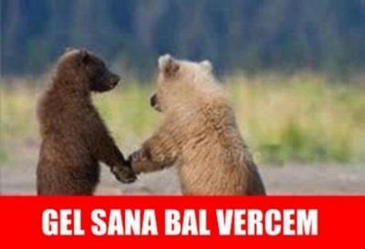 Sizce M. Ozan Dolunay'a teklif etsem kabul eder mi?