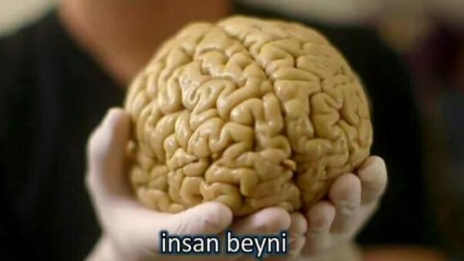 Kilo problemi beyinde başlayıp beyinde bitiyor diyorlar. Sizce beynimizi kilo vermeye programlayabilir miyiz?