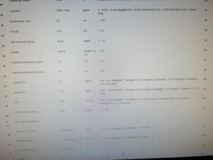 Bu teste göre hamilelik olabilir mi?