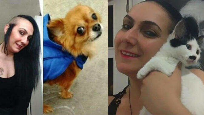 Ölen sahibinin cesedini yiyen 3 kedi ve 1 köpek! Sizce de korkunç değil mi?