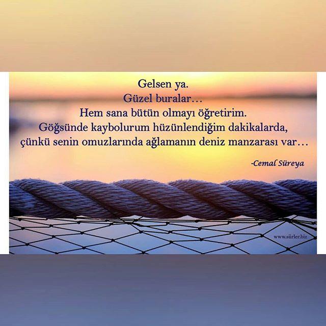 Omzunda ağlamanın deniz manzarası var dediğiniz biri var mı?