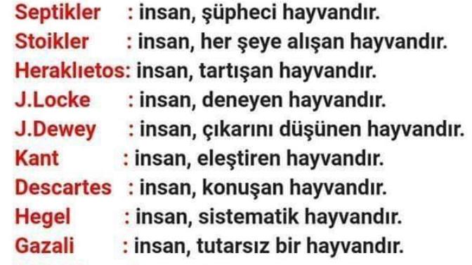 Peki size göre insan nedir?