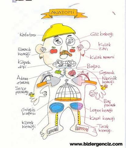 Kendinizi anlatan bir karikatür atar mısınız?
