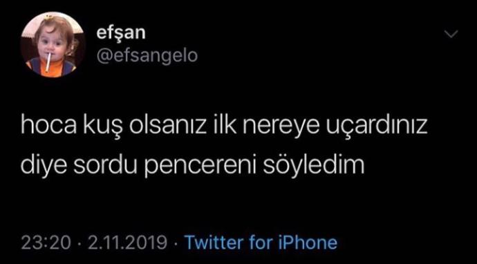 Kuş olsaydınız ilk nereye uçardınız?