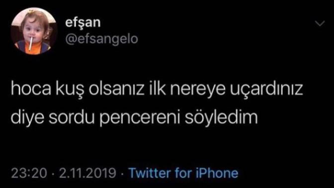 Kuş olsaydınız ilk nereye uçardınız?