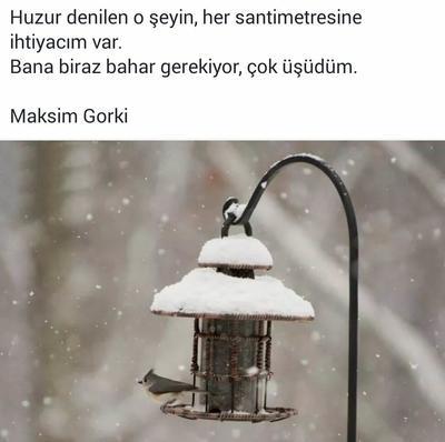 Hiç aramıyorken bulduğunuz güzel şeyler oldu mu hayatınızda?