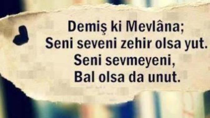 "Seni seveni zehir olsa yut, seni sevmeyeni bal olsa unut!"Bu söz size ne ifade ediyor?