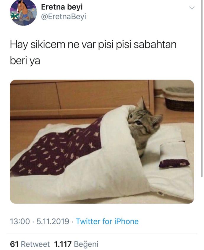 Evcil hayvanıyla aynı yatakta uyuyanlar var mı?