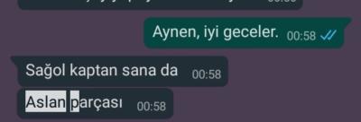 Aslan parçası ne demek