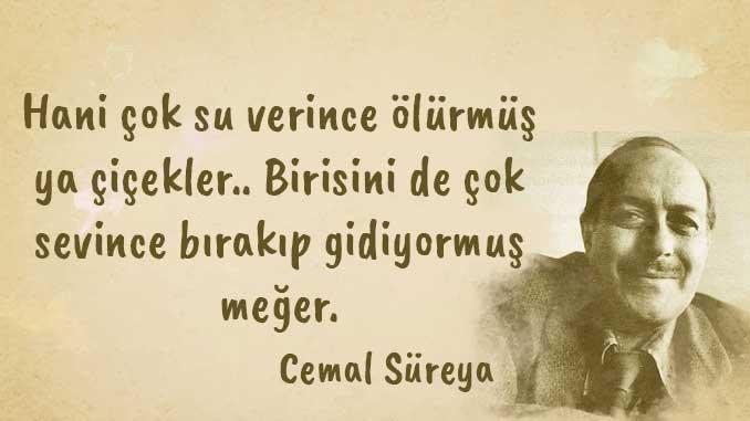 Geceye acı ama gerçek bir cümle bırak?