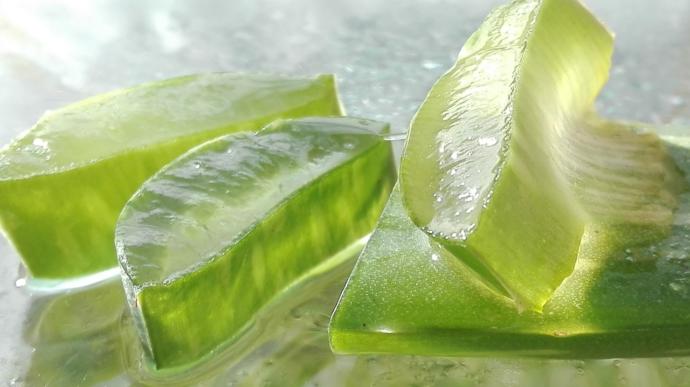 Aloe vera bitkisi nasıl kullanılır, cilde nasıl uygulanıyor?