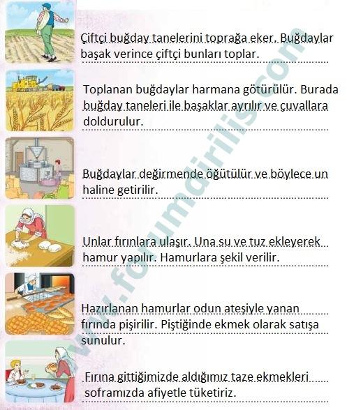 Emek israfı mı? Ekmek israfı mı?