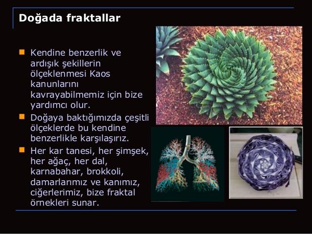 Fraktal geometrisi nedir? Neden doğa bilimciler kullanır? İslâm ile ilişkisi nedir?