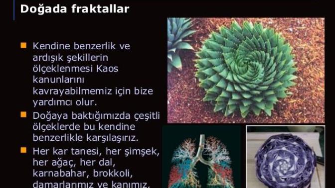 Fraktal geometrisi nedir? Neden doğa bilimciler kullanır? İslâm ile ilişkisi nedir?