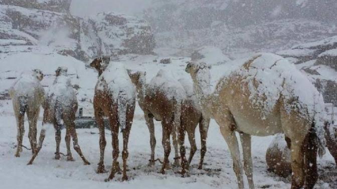 Suudi Arabistan'da bir çöle kar yağdı. Sizce dünyadaki iklim dengesi bozuluyor mu?