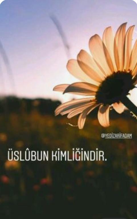 Neysen o’sun..