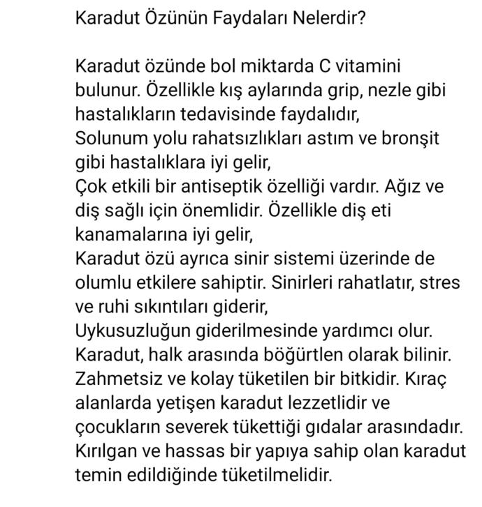 💜 Karadut özü sever misiniz? 🍓🍍🍉🍊🍇🍏🍒🍐🍑🍌 Severek suyunu içtiğiniz/yediğiniz meyve hangisi?