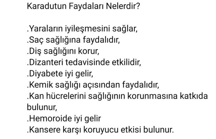 💜 Karadut özü sever misiniz? 🍓🍍🍉🍊🍇🍏🍒🍐🍑🍌 Severek suyunu içtiğiniz/yediğiniz meyve hangisi?