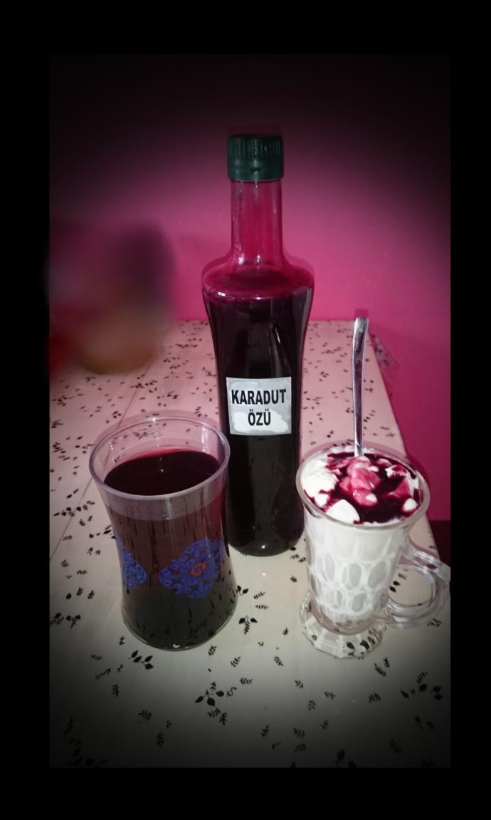 Benimkiler: Karadut suyu & yoğurt 😋💜
