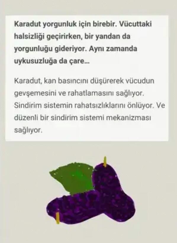 💜 Karadut özü sever misiniz? 🍓🍍🍉🍊🍇🍏🍒🍐🍑🍌 Severek suyunu içtiğiniz/yediğiniz meyve hangisi?