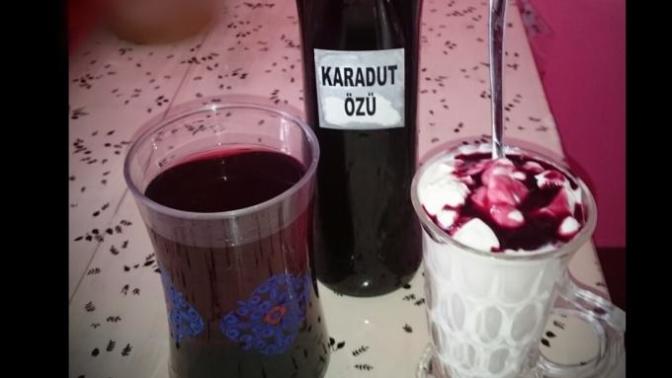 💜 Karadut özü sever misiniz? 🍓🍍🍉🍊🍇🍏🍒🍐🍑🍌 Severek suyunu içtiğiniz/yediğiniz "meyve" hangisi?
