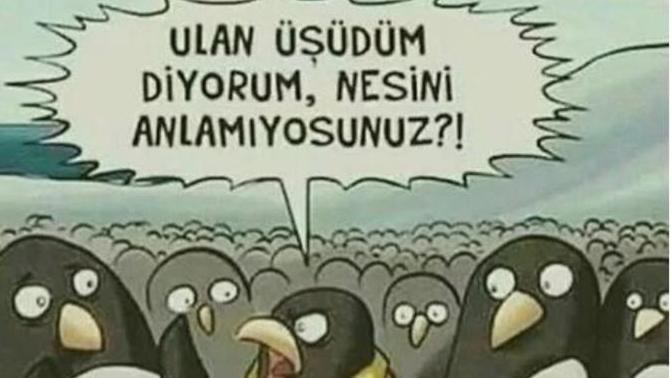 Kış mevsiminde senin içini tahin pekmez mi ısıtır yoksa tahin helvası mı?