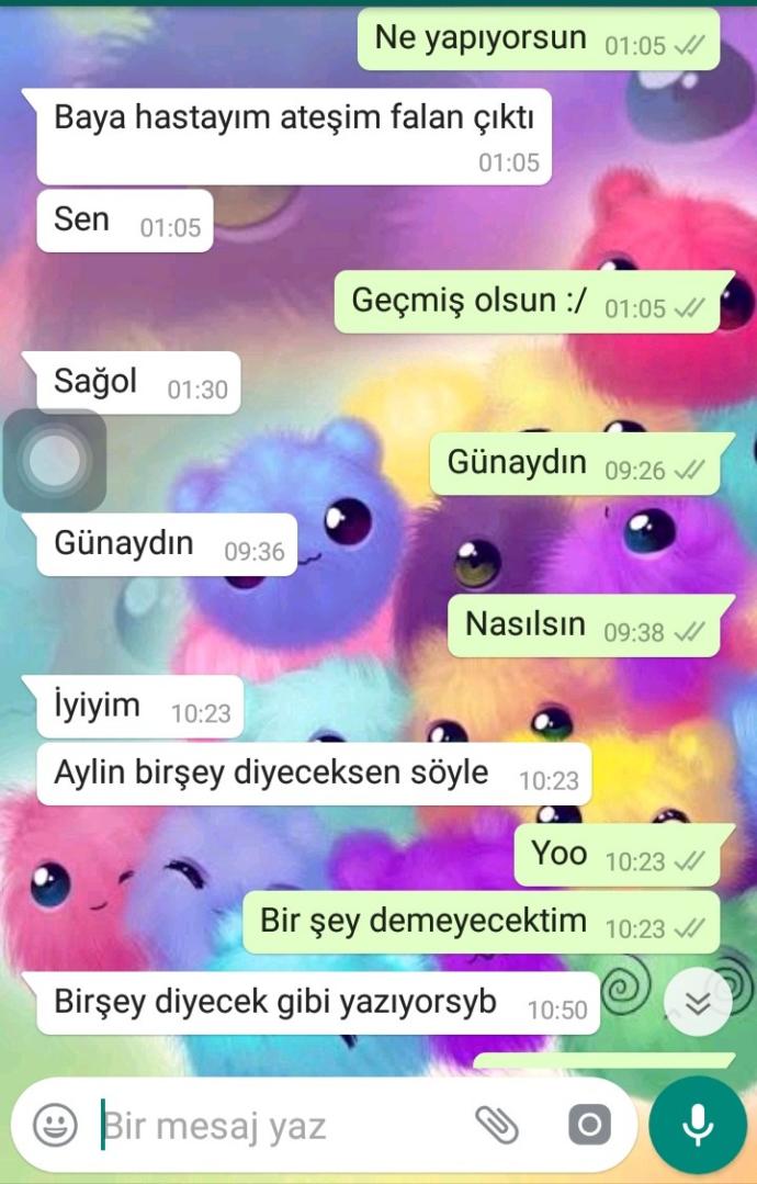 Sevdiğim çocuğa mesaj atıyorum, bir şey mi diyeceksin diyor. Amacı ne sizce? Fotoğraflı?