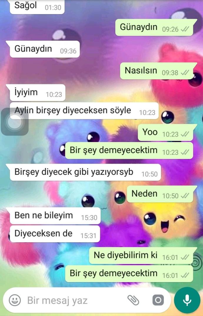 Sevdiğim çocuğa mesaj atıyorum, bir şey mi diyeceksin diyor. Amacı ne sizce? Fotoğraflı?