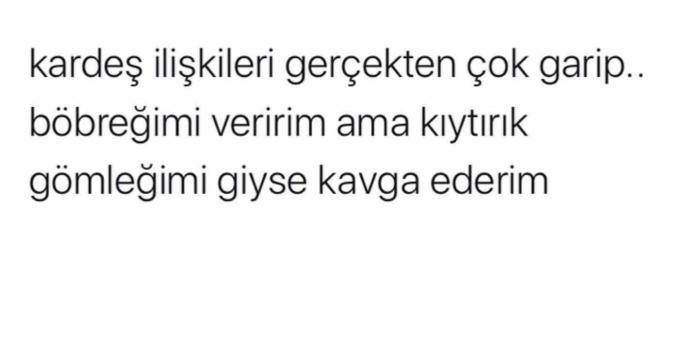Böbreğimi veririm ama kiytirik gömleğimi giyse kavga ederim kardeş ilişkileri gerçekten çok garip değilmi?