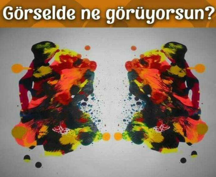 Görselde ne görüyorsunuz?