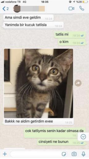 Sizi karşı cins hayvanlardan bile kıskanan sevgiliye karşı nasıl bir tavır alırsınız?
