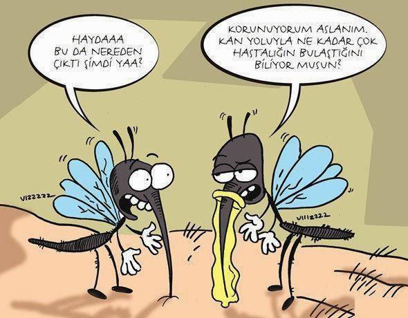 Başınıza bela olan bir şey var mı?