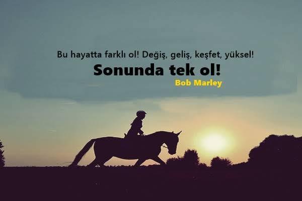 Sürü psikolojisi nedir? Siz de sürüde ki koyunlardan biri gibi mi davranıyorsunuz? Farklı olduğunuzu düşünüyor musunuz?