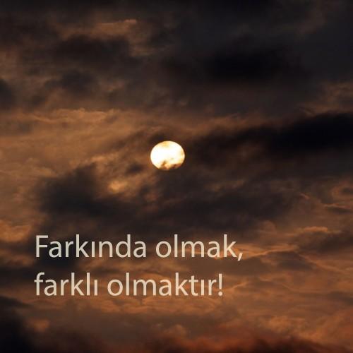 Sürü psikolojisi nedir? Siz de sürüde ki koyunlardan biri gibi mi davranıyorsunuz? Farklı olduğunuzu düşünüyor musunuz?