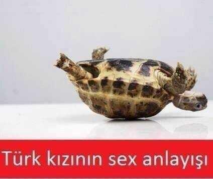 Türk erkeği yatakta aktif kadın mı istiyor?