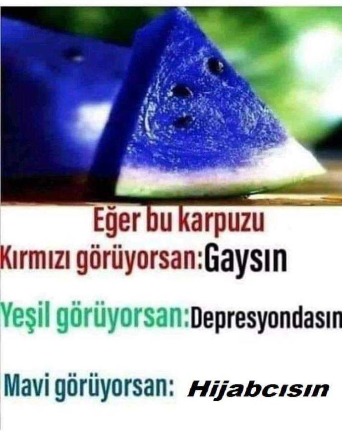 Bu karpuzu hangi renk görüyorsun?